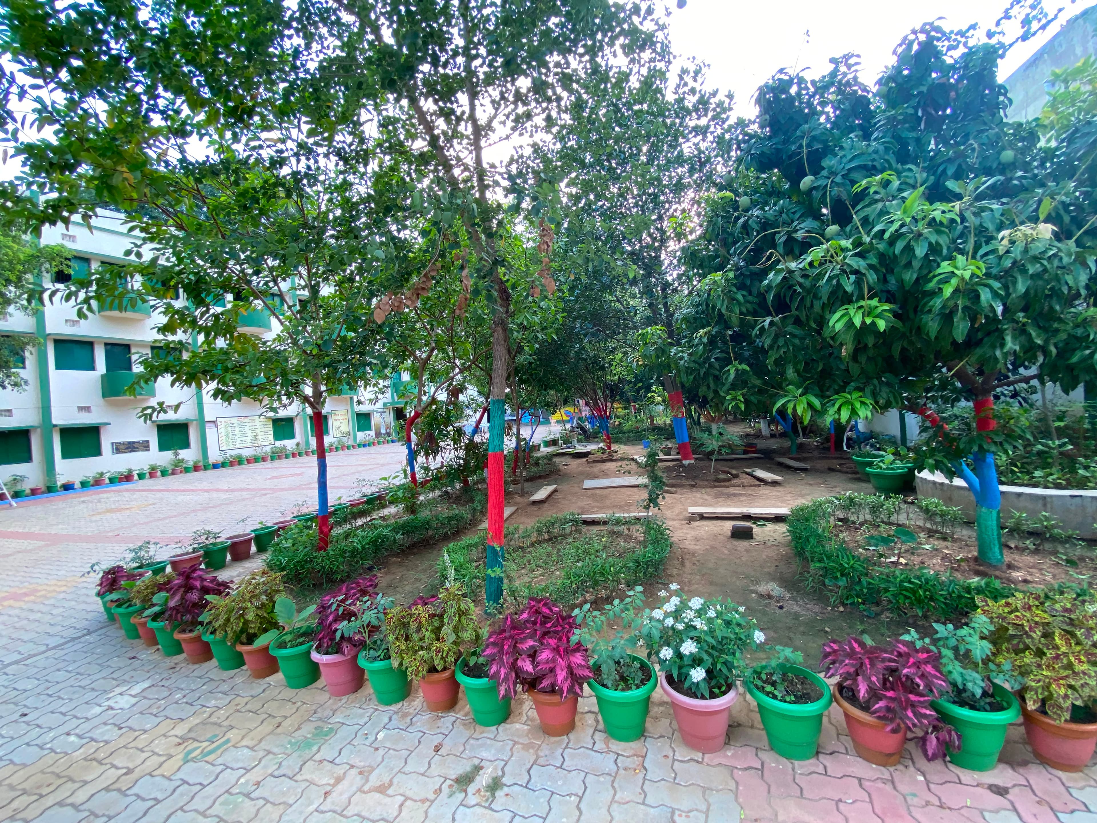 Beautiful Green Campus Garden