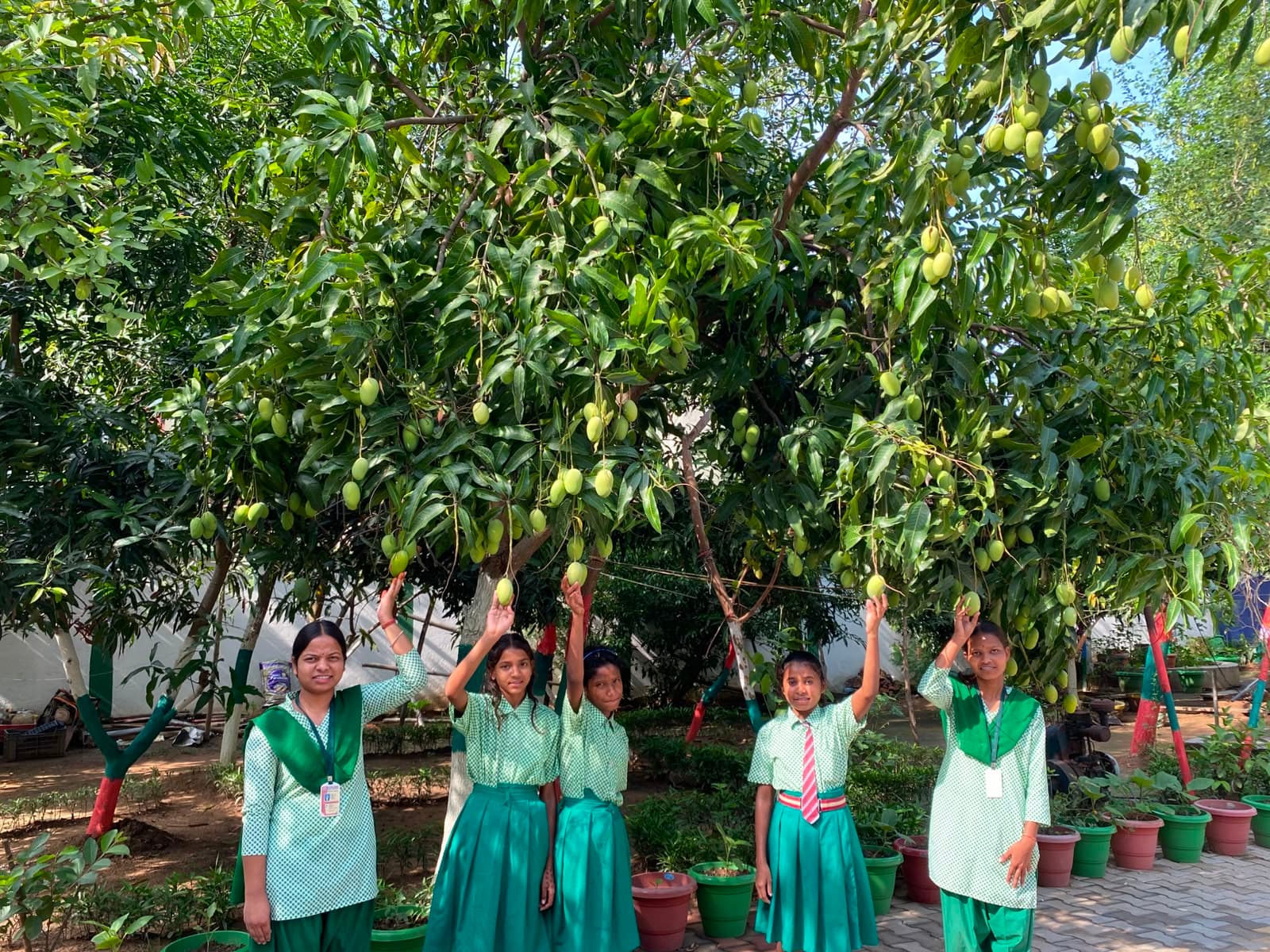 Students Enjoying the School Garden