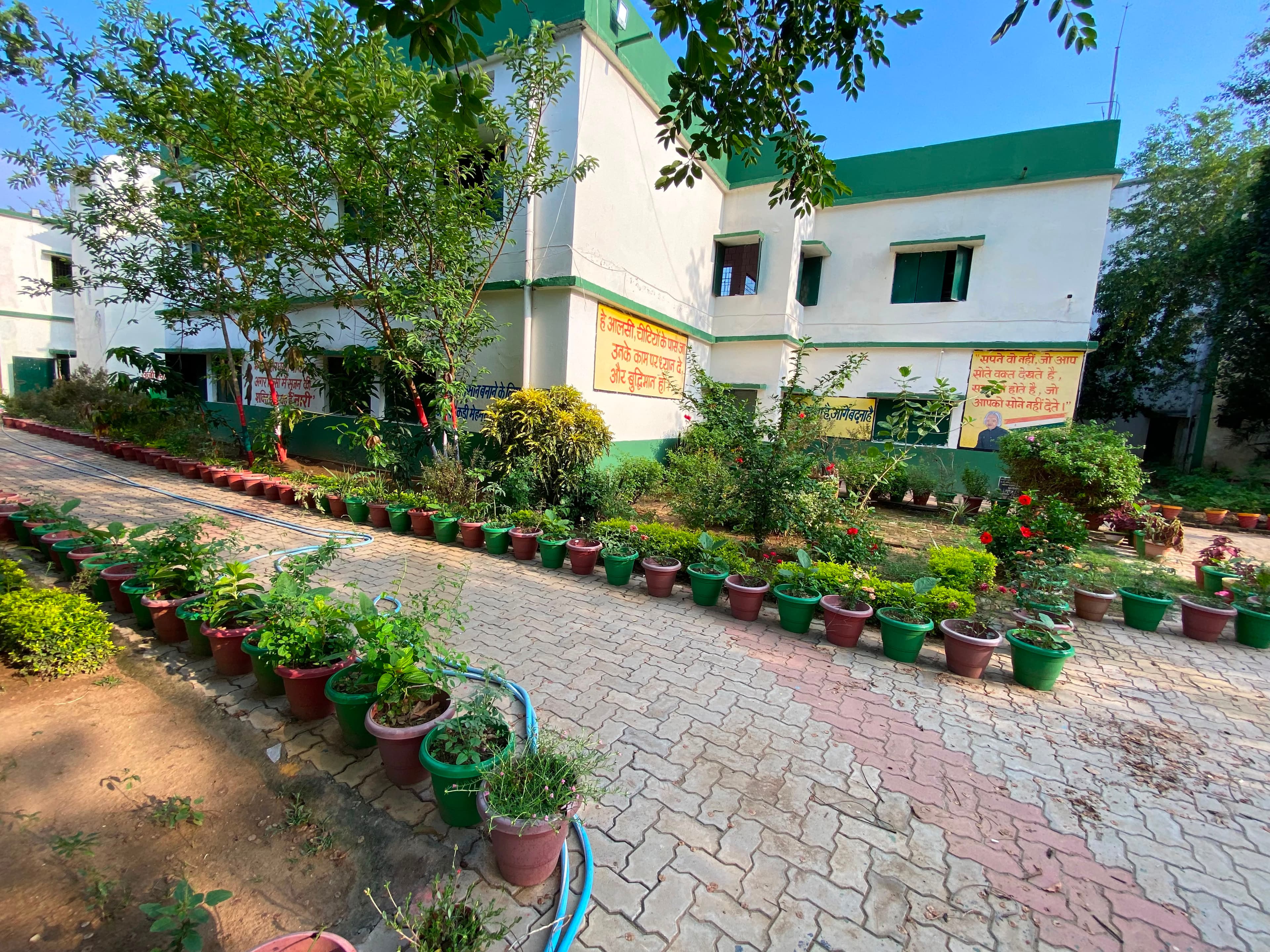 Green and Beautiful School Campus
