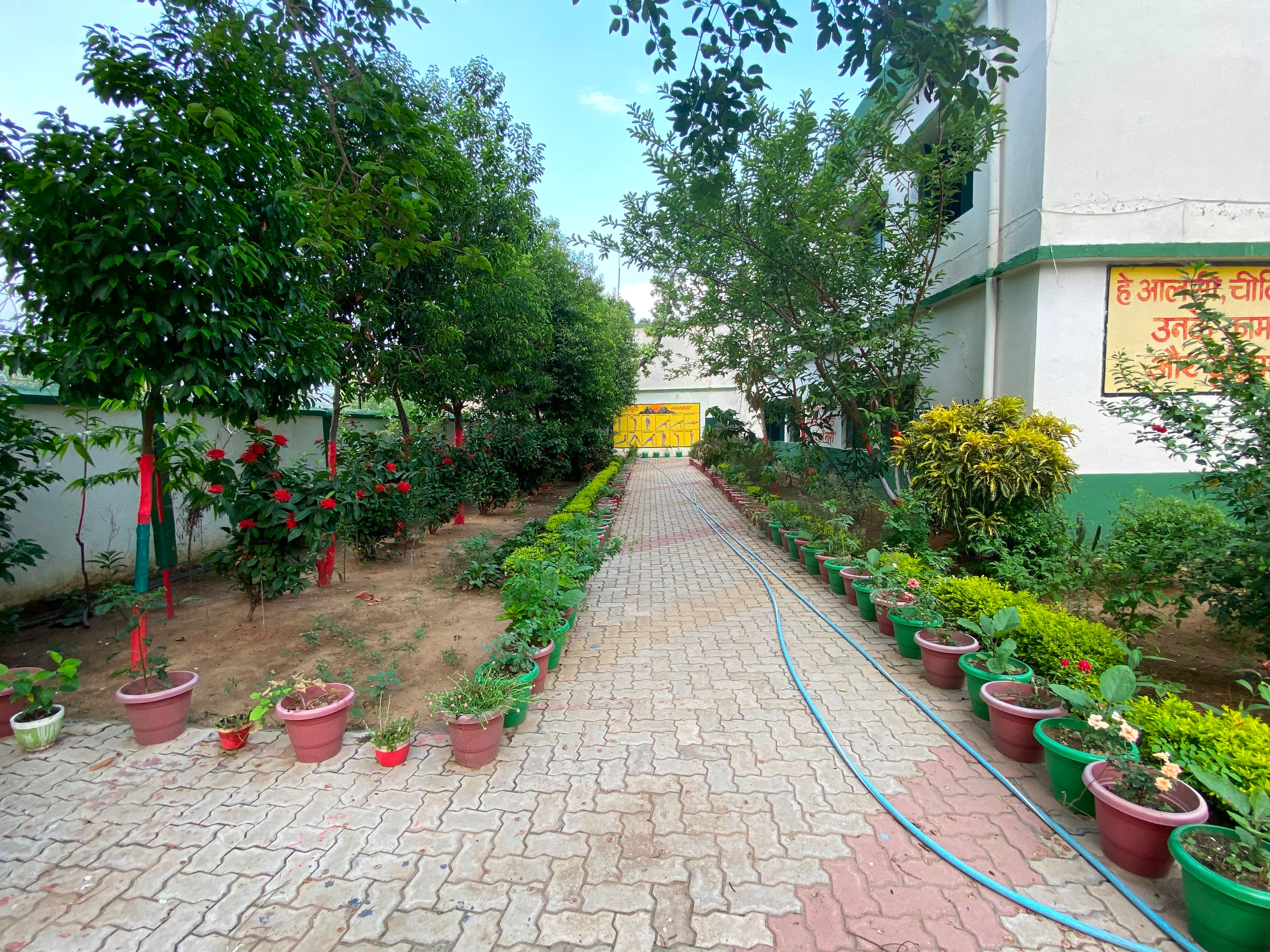 Green Campus Pathway