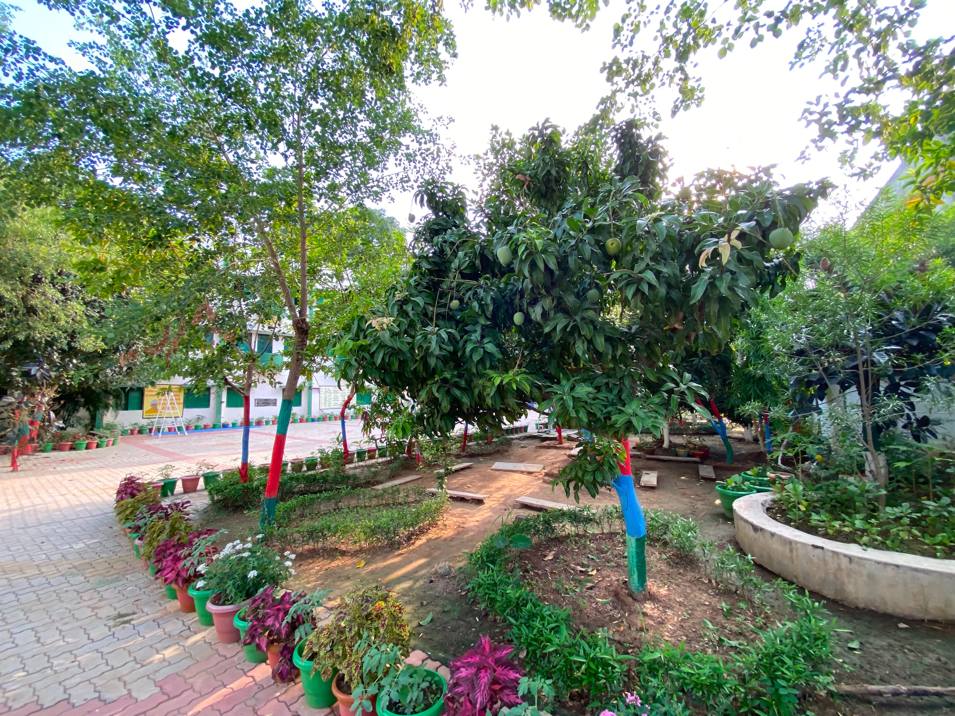 Fruit Garden on Campus